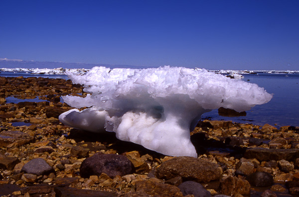 Ice sits on the Hudson Bay shore in July