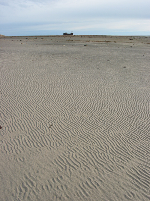 At low tide, Bird Cove becomes an immense sandy tidal flat, with the Ithica toward its seaward edge.