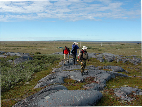 ed-graham-1a Striding across one of the quartzite ridges that formed islands in the Ordovician sea: L-R are Norm Aime, me, and Ed Dobrzanski (photo © David Rudkin, Royal Ontario Museum)