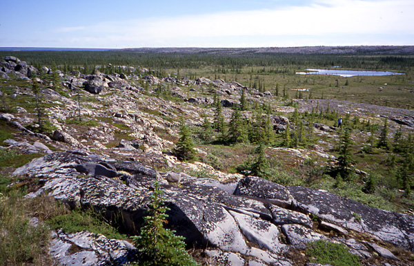 seahorse West of the Churchill River, one can stand on top of one quartzite ridge and look across to the next one. In the Late Ordovician Period, this low area was a channel between tropical islands.