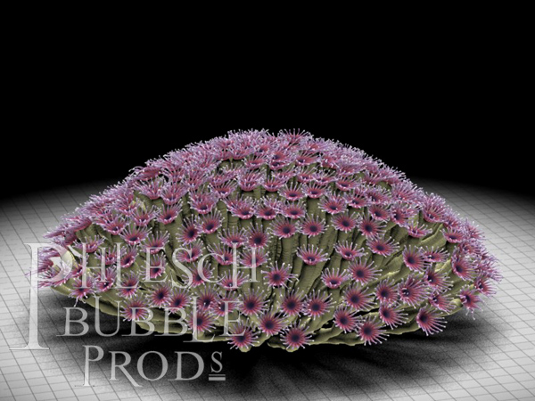 Of all the wonderful models produced by Phlesch, this colonial coral (Palaeophyllum) is my favourite.