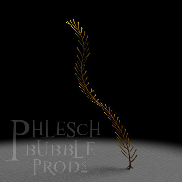 This seaweed reconstruction is based on the Ordovician genus Winnipegia.