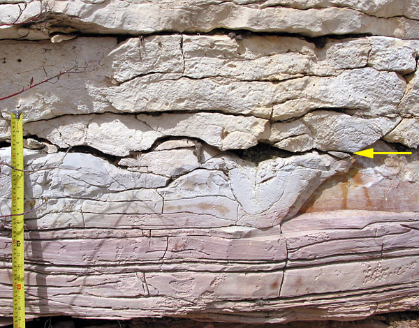 Stony_Stonewall This is a vertical quarry face near Cormorant. The yellow arrow indicates the contact between the Ordovician Stony Mountain Formation (below) and the Stonewall Formation. This is a very irregular surface which is indented by channel-like features. It suggests a period during which sediment was not being deposited, and the surface may have been above sea level for a while.