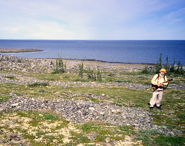 Ed Dobrzanski stands beside ancient beach ridges at Button Bay, Hudson Bay. Beach ridges extend inland from Button Bay, providing abundant and often graphic evidence that the land has steadily rising (and local relative sea level falling) as a result of post-glacial rebound.