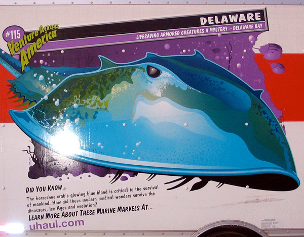 crab_haul2 crab_haul2