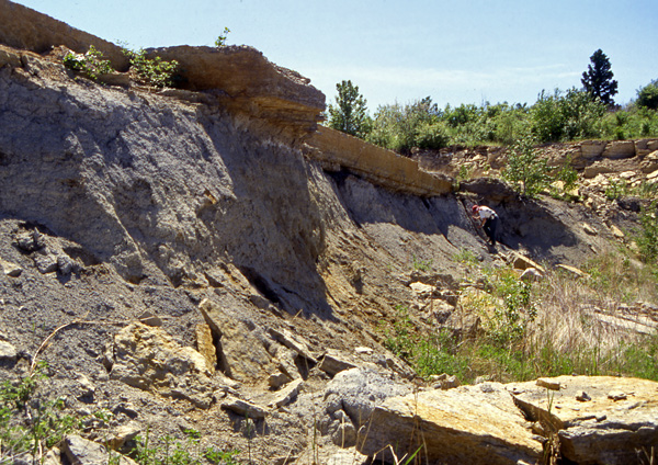 Near the north end of Hecla Island, the grey Winnipeg Formation is capped by hard dolostones of the Dog Head Member, Red River Formation. This photo was taken in the mid 1990s; I understand that this slope has slumped since then.