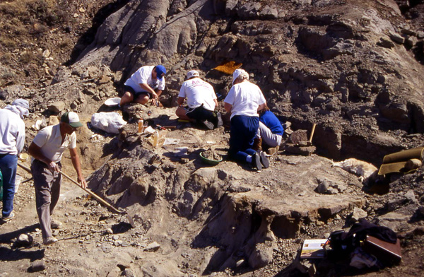 George Lammers (L, holding broom) leads the 1994 dinosaur dig. (photo © The Manitoba Museum)