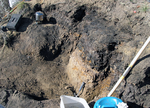 Dig_Site This is the site where we would extract our first sample. The boundary clay sits above the pale Cretaceous Frenchman Formation, and immediately beneath dark coaly shales of the Paleocene Frenchman Formation. (photo The Manitoba Museum)