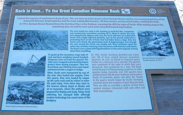 Barnum_Brown1 Dinosaur Provincial Park, Cretaceous