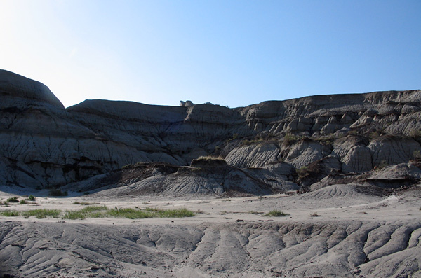 Barnum_Brown2 Dinosaur Provincial Park, Cretaceous