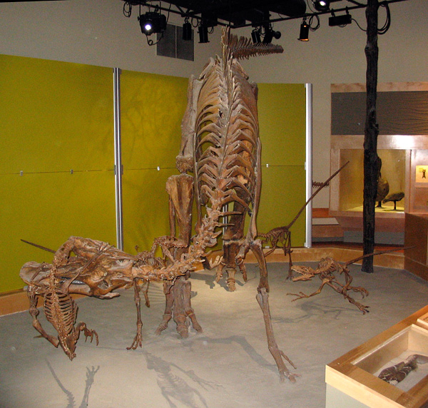 dinosaurs Dinosaur Provincial Park