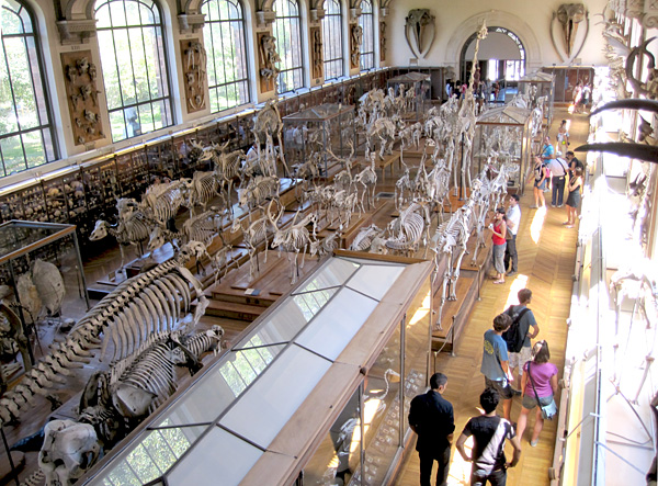 1b vertebrate_hall