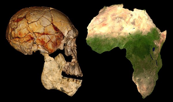 Homo rudolfensis, skull, Africa satellite