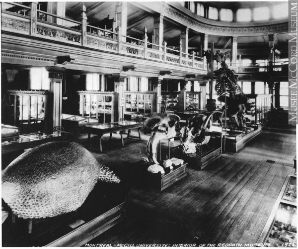 The Megatherium and Glyptodon at the Redpath Museum, Montreal, 1925