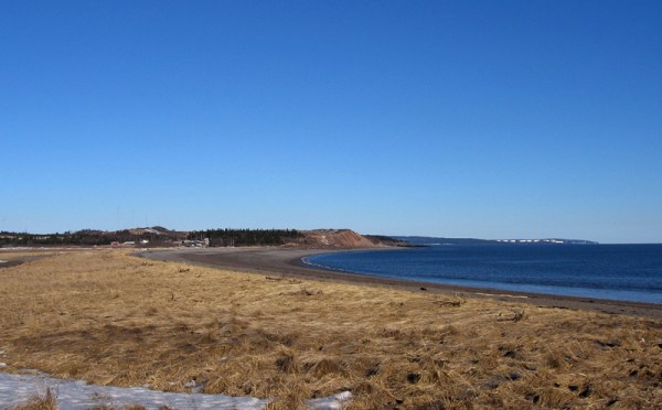 Vegetated beach ridge between the beach and the salt marsh