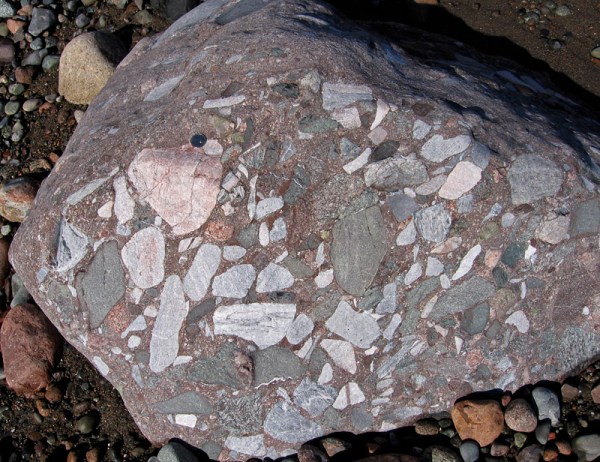 The clasts in this breccia boulder are illustrative of Saint John's varied geology
