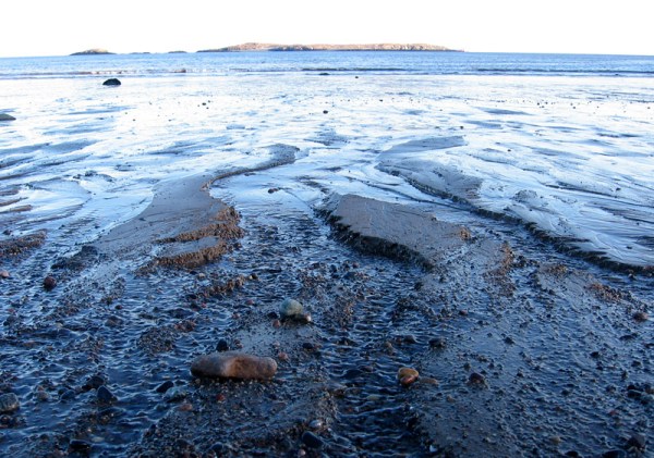 Manawagonish Island, just offshore, is also a nature reserve.