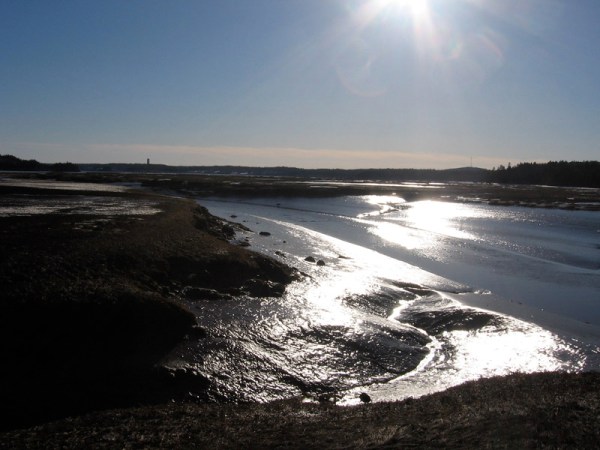 Manawagonish Creek in the salt marsh (note to my prairie friends: those shiny surfaces are mud, not ice!)