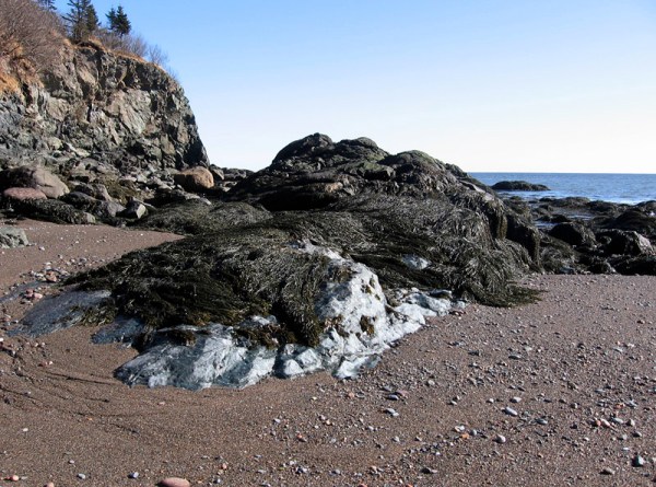 Rocky shore at Sheldon Point