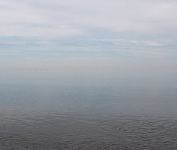 Whale Cove, Grand Manan Island: a still morning, with a herring weir on the horizon