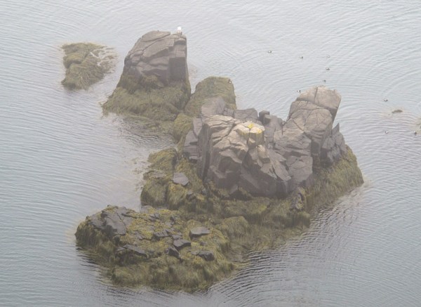 bird islet