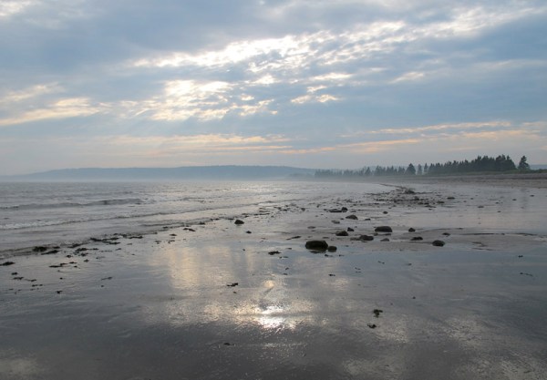 tidal flat 3