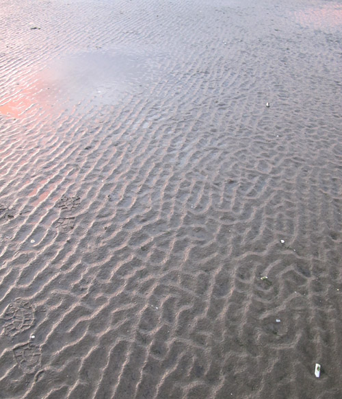 Some fine interference ripples interrupted by boot prints (mine, I think)