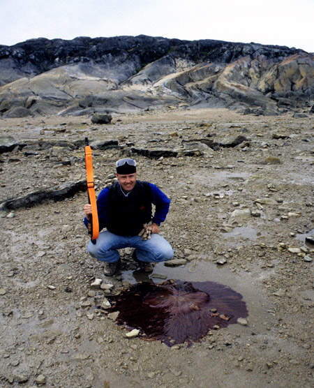 Norm Aime examines a large dead example of Cyanea capillata (the Lion's Mane Jellyfish) on the shore of Hudson Bay, near Churchill, Manitoba.  ((photo © Dave Rudkin, Royal Ontario Museum)