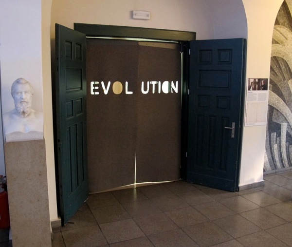A. Evolution doors