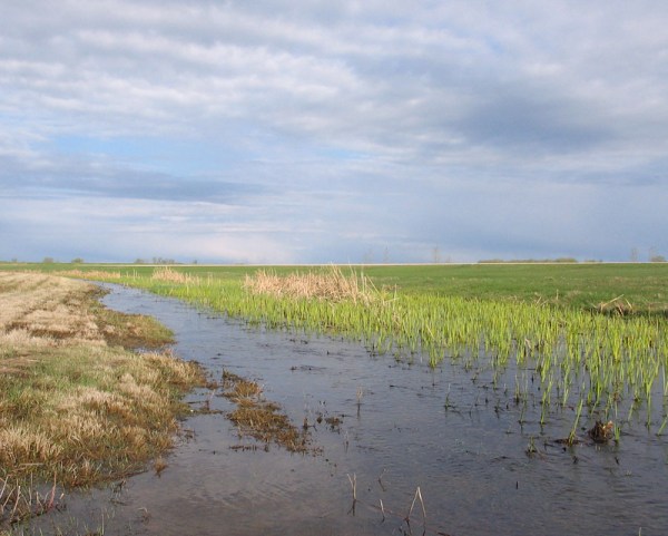 Along the Trans Canada Highway in western Manitoba