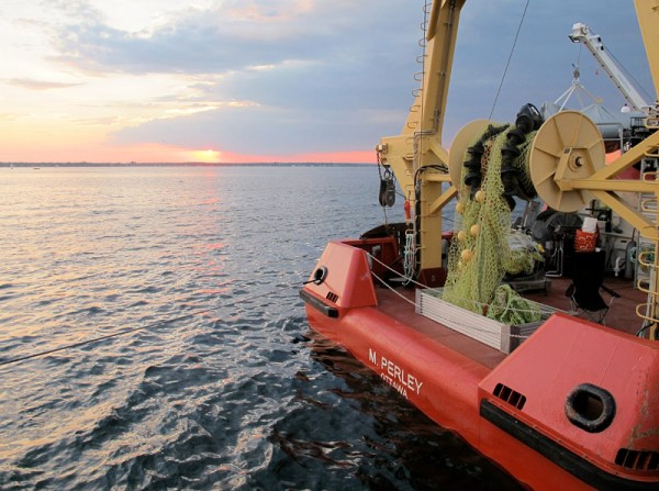 Shediac, New  Brunswick