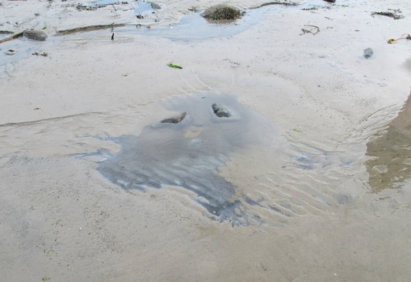 The Anchorage, Grand Manan Island