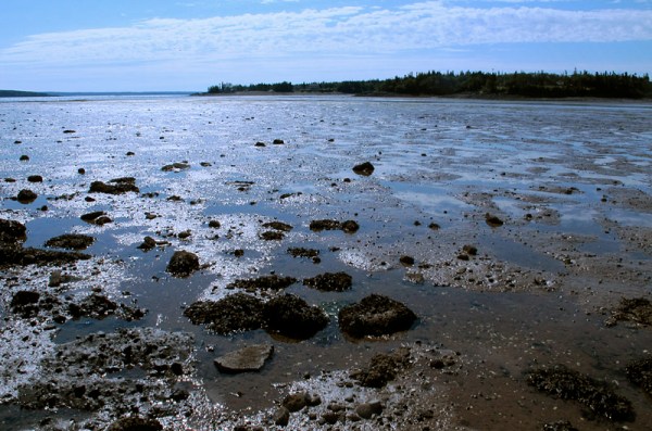 Morning low tide at Pocologan, New Brunswick