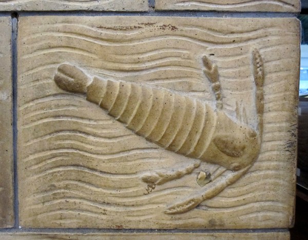 6 eurypterid