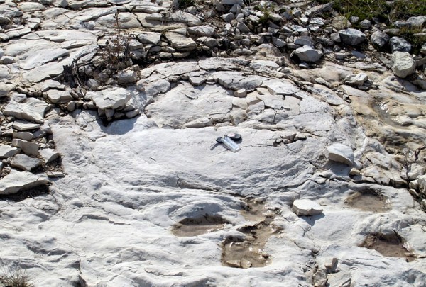 can see the layers spalling off this dome, like onion skin