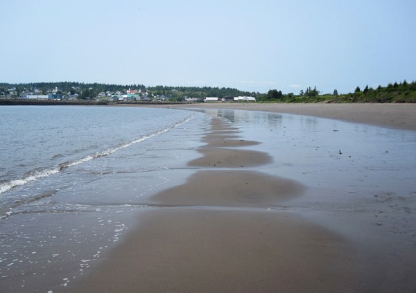 What is the physical process that causes these remarkably regular tidal channels across the beach? I'm sure that there is an M.Sc. thesis here . . .