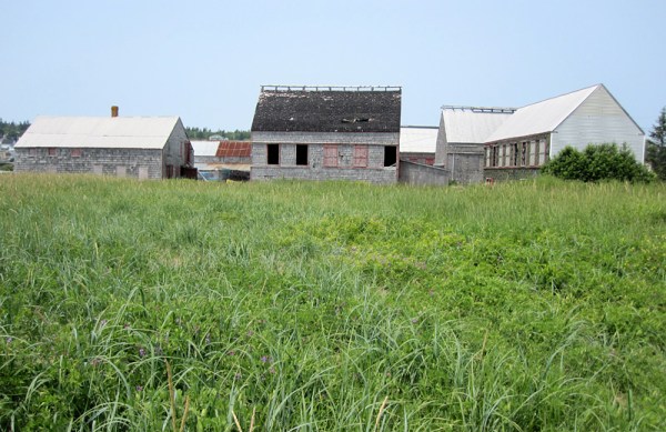 At the village end of the beach, the wonderful disused herring smokehouses have been rightly declared a national historic site, but most of them still await conservation and, perhaps, repurposing.