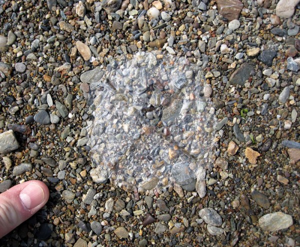 This very crispy example is lifting off the surface, but canals are still visible