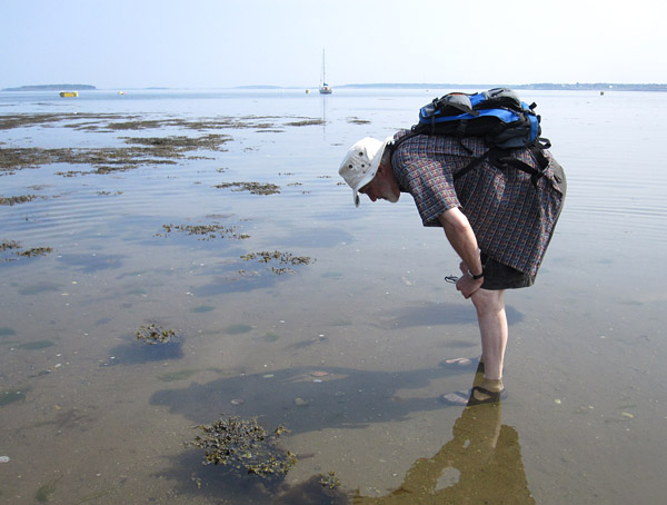 Graham looks at jellies