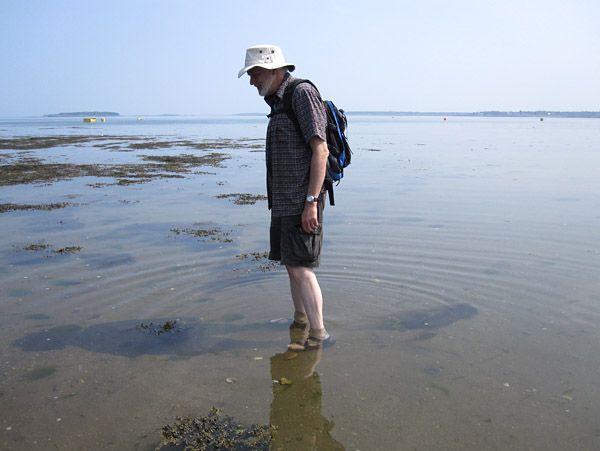 So much to see in the sea!