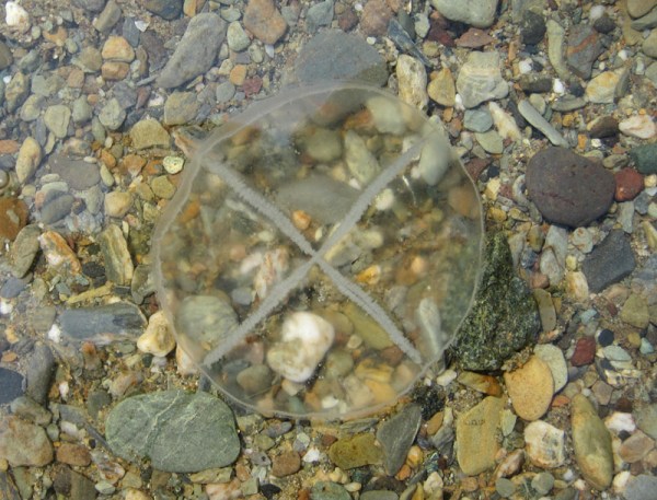 white cross above pebbles