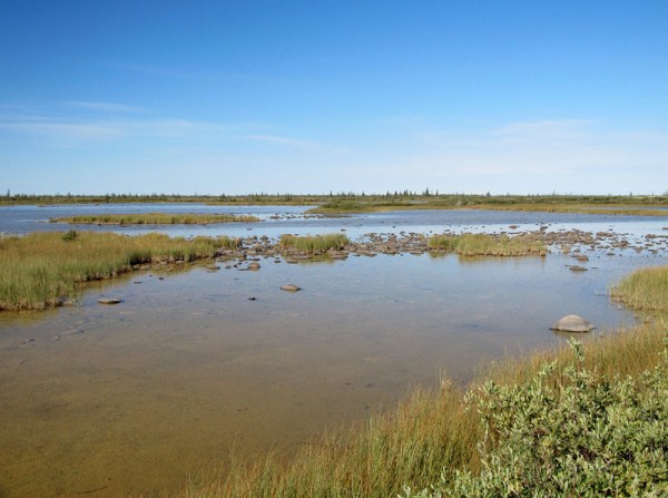 Between CNSC and the sea, the landscape is about 50% water.