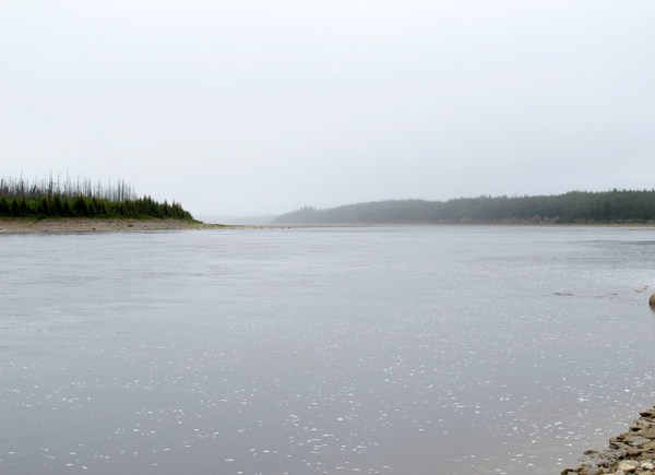 The day, which started so cool and grey, becomes bright and sparkling as the mist burns off.