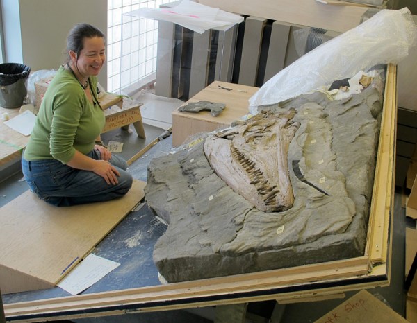 Debbie and the mount