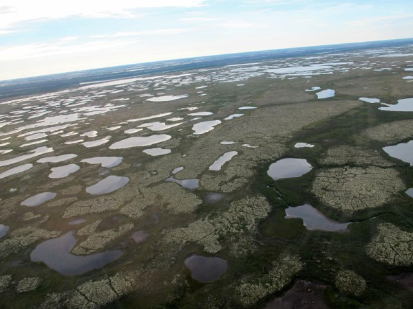 Flying over Manitoba's Hudson Bay Lowlands in a helicopter, the tundra ponds cannot be counted.